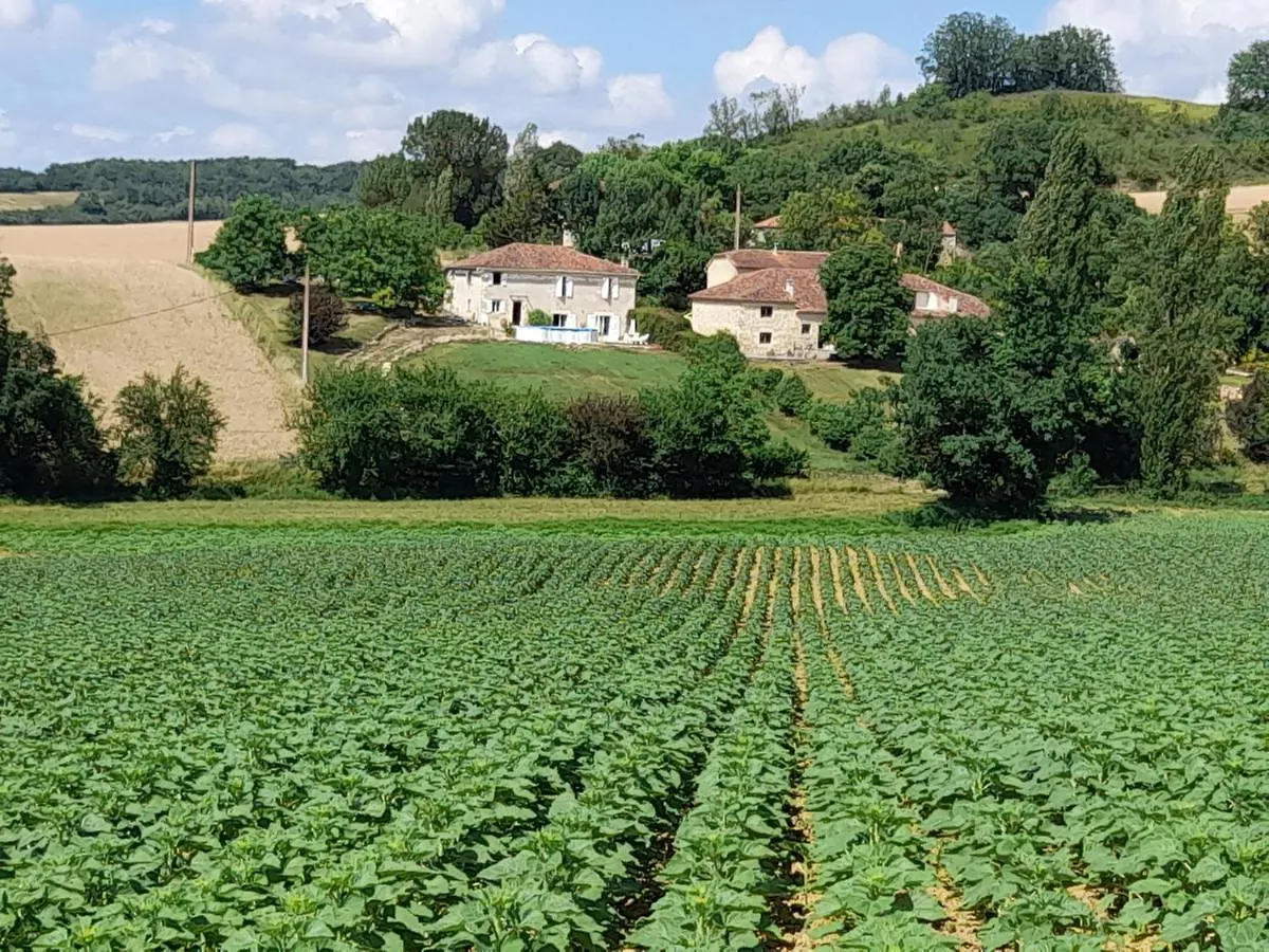 Les Collines De Bidouchac Larroque-Saint-Sernin